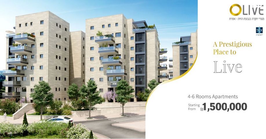 דירות למכירה, זית שמן 1 אפרת דירות למכירה, זית שמן 1 אפרת