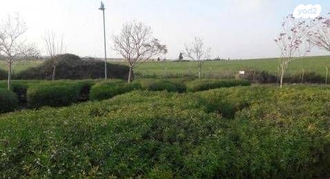 דירות למכירה , תלמי יפה תלמי יפה דירות למכירה , תלמי יפה תלמי יפה