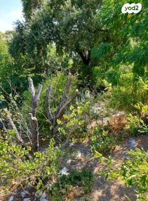דירות למכירה , לא צוין רחוב קרית טבעון דירות למכירה , לא צוין רחוב קרית טבעון