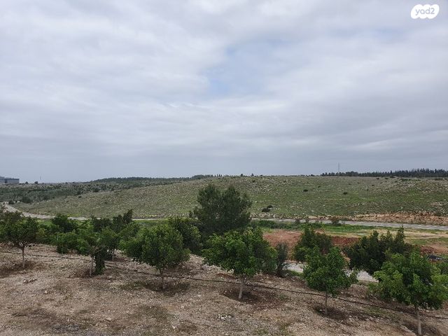 דירות למכירה, דבורה הנביאה מודיעין מכבים רעות דירות למכירה, דבורה הנביאה מודיעין מכבים רעות