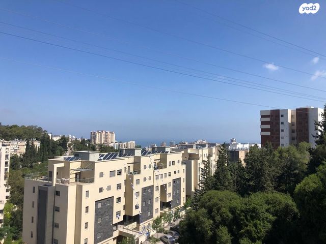 דירות למכירה , חביבה רייק 58 חיפה דירות למכירה , חביבה רייק 58 חיפה