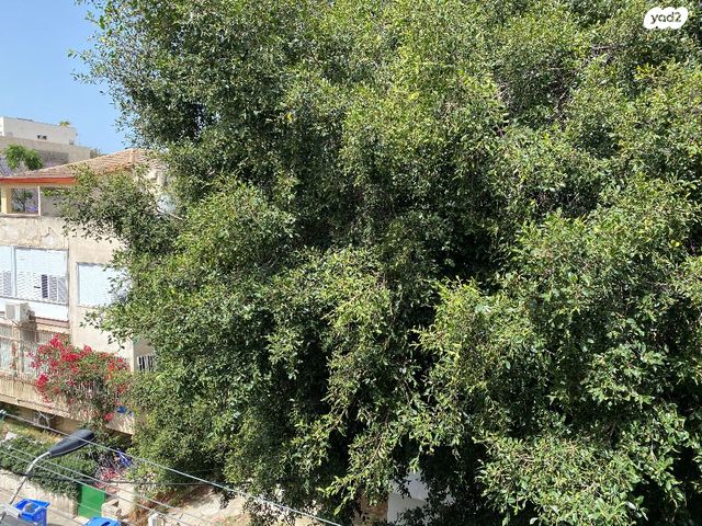דירות למכירה , זנגביל 26 תל אביב יפו דירות למכירה , זנגביל 26 תל אביב יפו