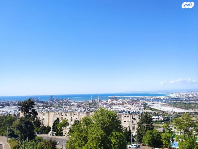 דירות למכירה , תענך חיפה דירות למכירה , תענך חיפה