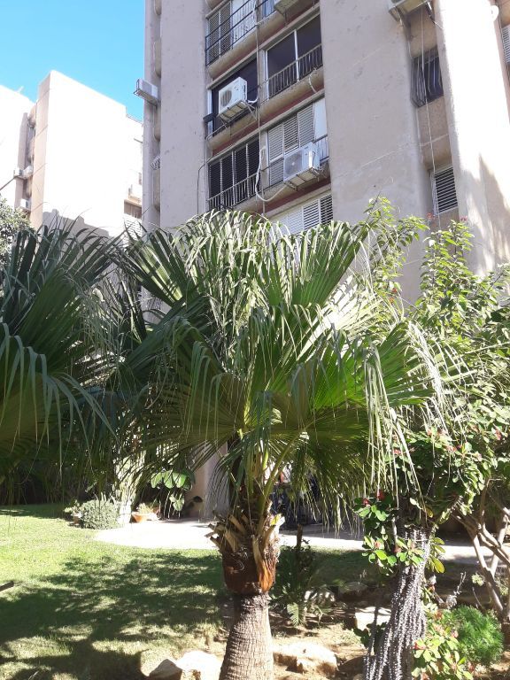דירות למכירה , רמת אביב ג' תל אביב יפו דירות למכירה , רמת אביב ג' תל אביב יפו