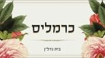 כרמליס-בית נדלן - תמונת לוגו של המשרד תיווך