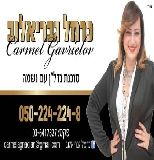 כרמל גבריאלוב נכסים - תמונת לוגו של המשרד תיווך