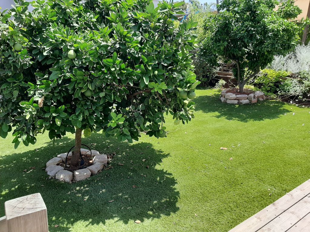 נדל"ן השרון - תמונת לוגו של המשרד תיווך