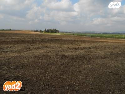 משק חקלאי/ נחלה