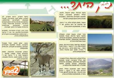 משק חקלאי/ נחלה, צור משה, צור משה