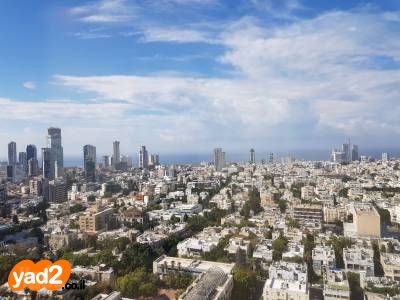 שפע טל 