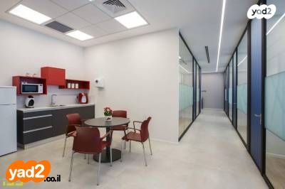 אלי הורוביץ 12