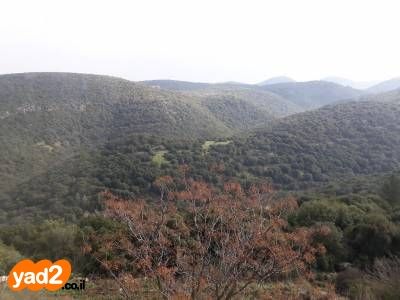 דירה, מרווה 14, יצחק רבין, מעלות תרשיחא