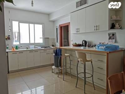 גג/ פנטהאוז, תל חי, מזרחי א, כפר סבא