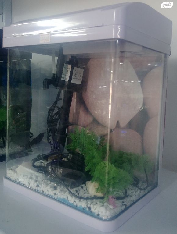 אביזרים | אקווריום