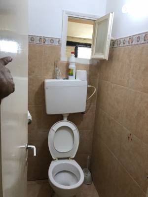 יגאל אלון 11