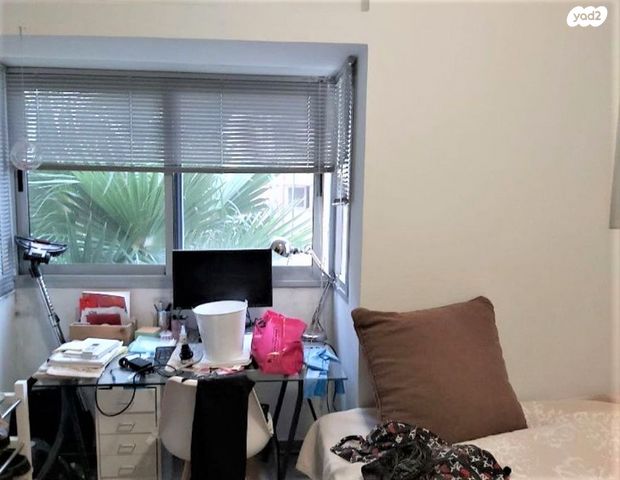 דירה, אמסטרדם, הצפון הישן - צפון, תל אביב יפו