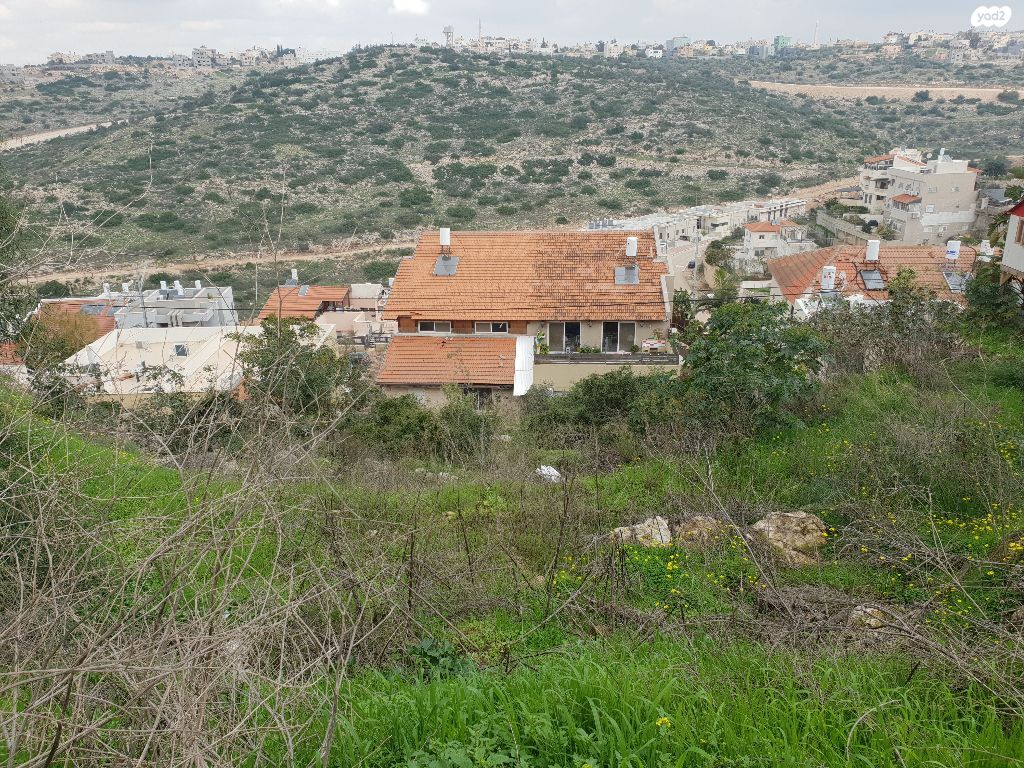 עץ אפרים