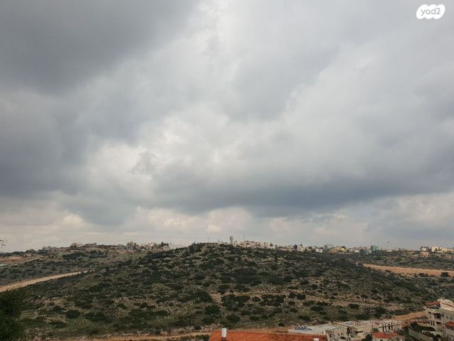 מגרשים, עץ אפרים, עץ אפרים