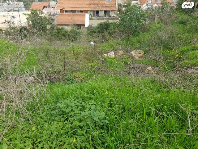 מגרשים, עץ אפרים, עץ אפרים