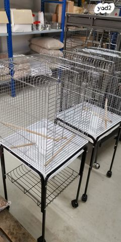 תוכי קוקוטייל