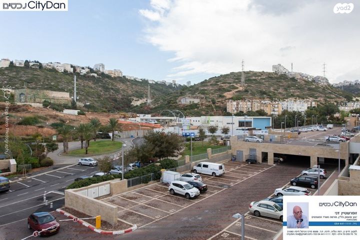 דירה, אלמוג, רמת חביב / רמת הנשיא, חיפה