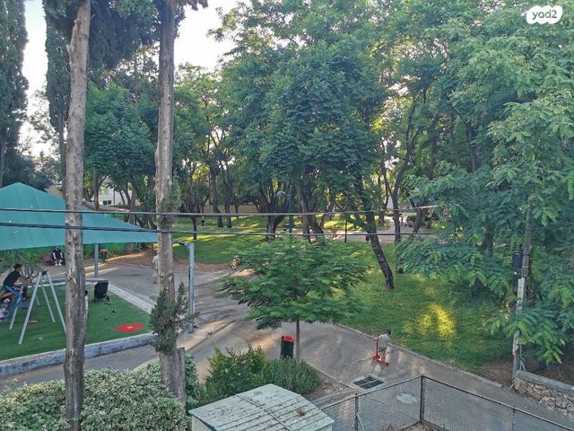 יהודה המכבי 