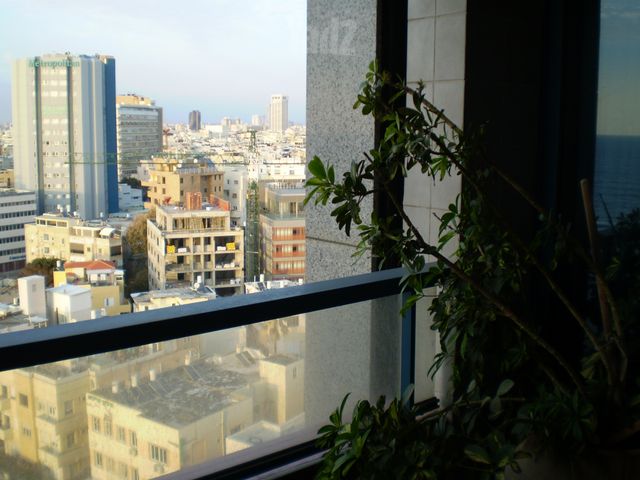 דירה להשכרה בתל אביב יפו (תיווך) — 4