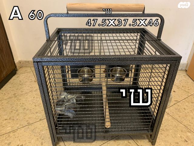 תמונת מודעה - חיות מחמד