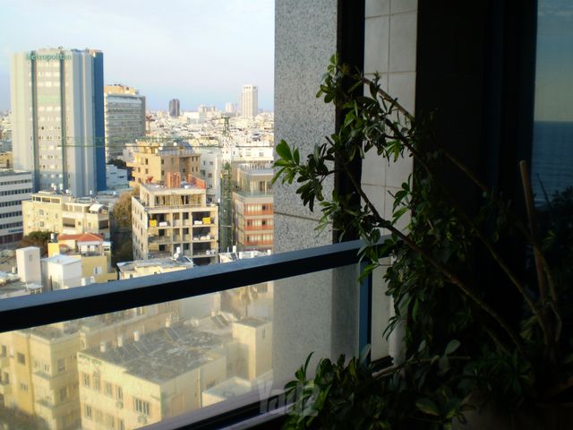 דירה להשכרה בתל אביב יפו (תיווך) — 3