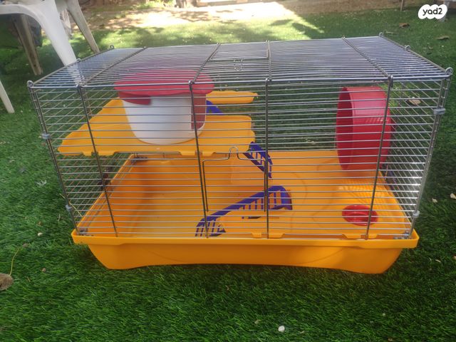 תמונת מודעה - חיות מחמד