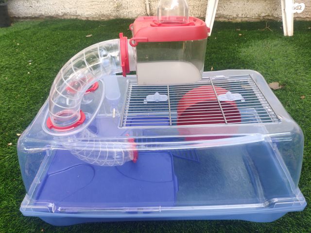 תמונת מודעה - חיות מחמד