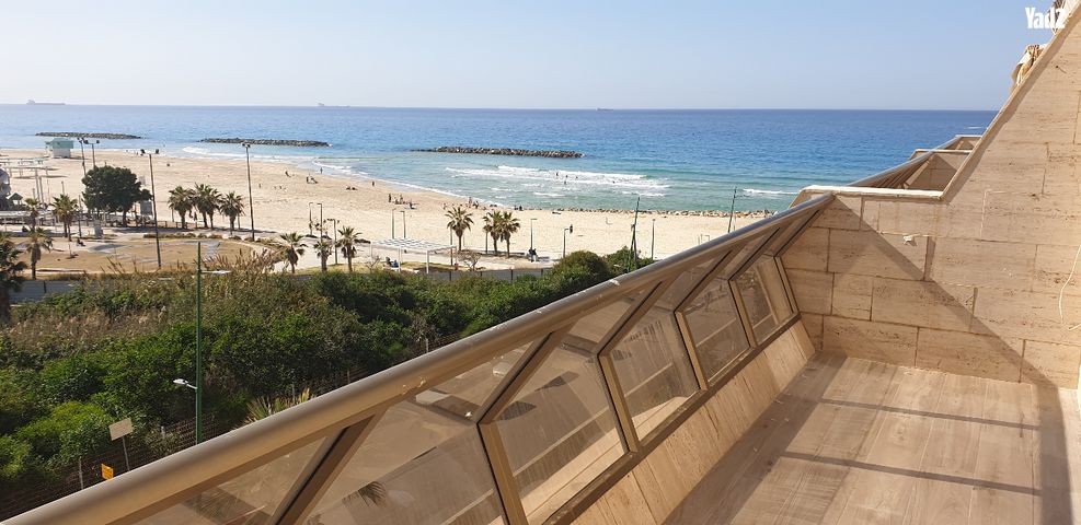 השונית 4