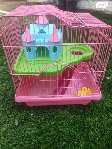 תמונת מודעה - חיות מחמד