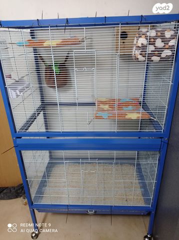 תמונת מודעה - חיות מחמד