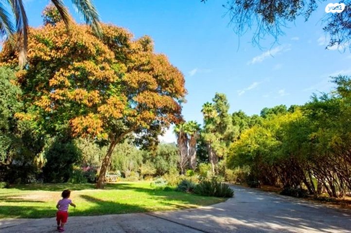 בית פרטי/ קוטג', סביון