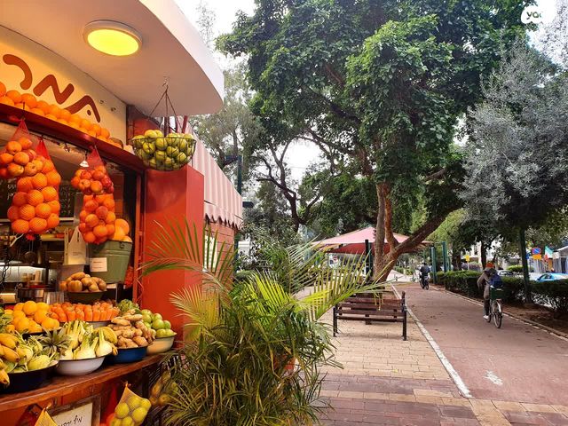 דירה, לסל, הצפון הישן - צפון, תל אביב יפו