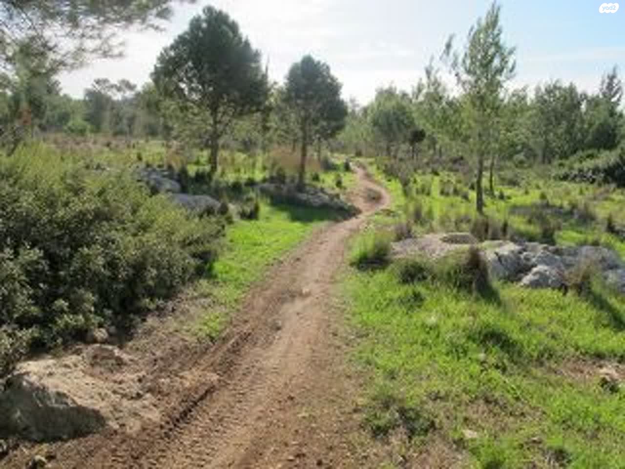 גמזו