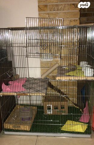 אביזרים | כלוב