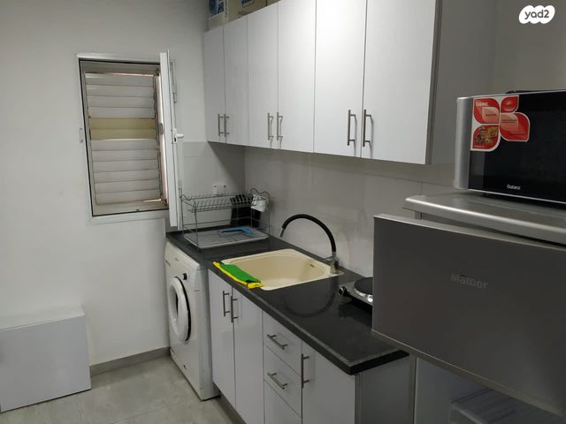 אלעזר בן יאיר 