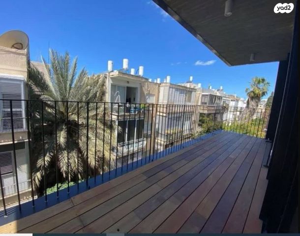 דירה, בזל, הצפון הישן - צפון, תל אביב יפו