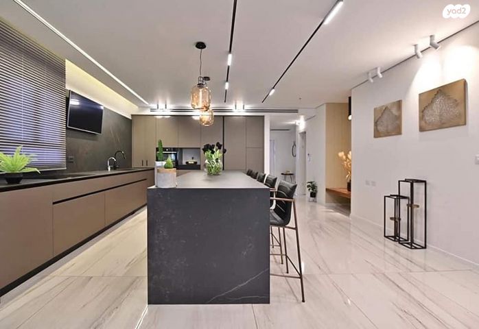 גג/ פנטהאוז, ברקת, צמרות המושבה, באר יעקב