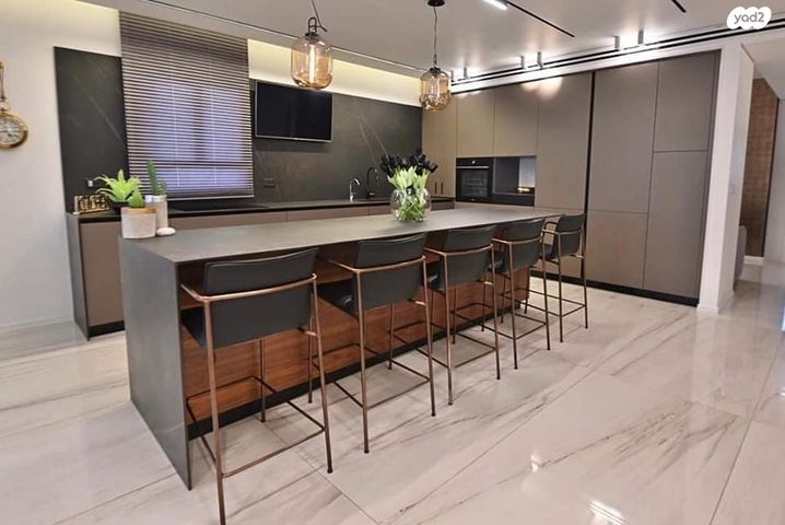 גג/ פנטהאוז, ברקת, צמרות המושבה, באר יעקב