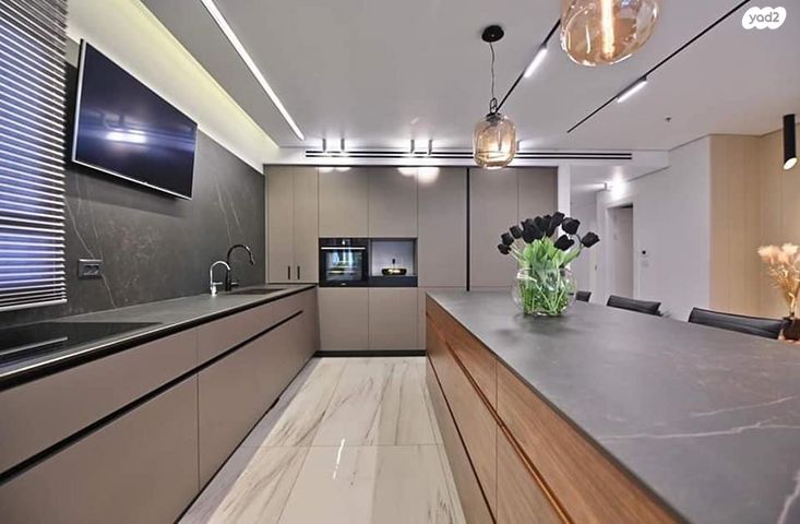 גג/ פנטהאוז, ברקת, צמרות המושבה, באר יעקב