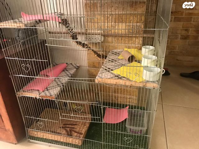 אביזרים | כלוב