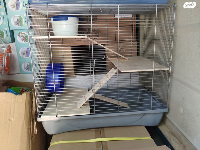 תמונת מודעה - חיות מחמד