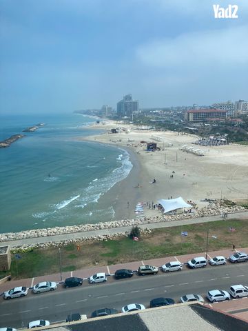 הצדף 