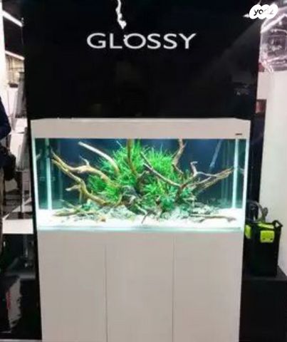 אביזרים | אקווריום