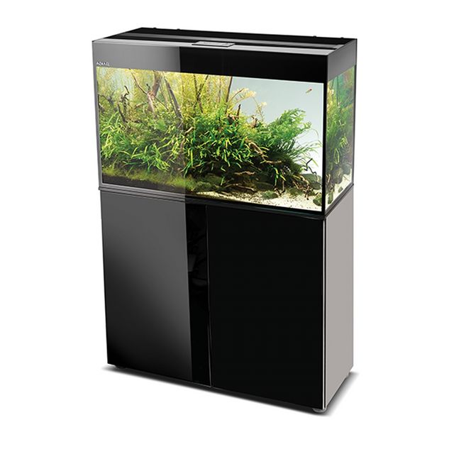 אביזרים | אקווריום