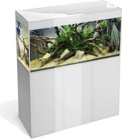 אביזרים | אקווריום