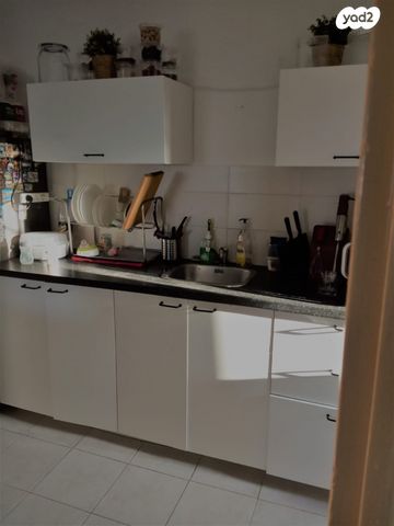 זלמן שניאור 